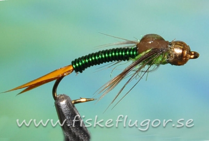BH Coppercats Nymph Green
