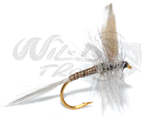 12-Pack Blue Quill Dry