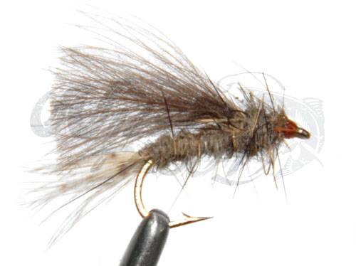 6-Pack Floating Emerger Nymph