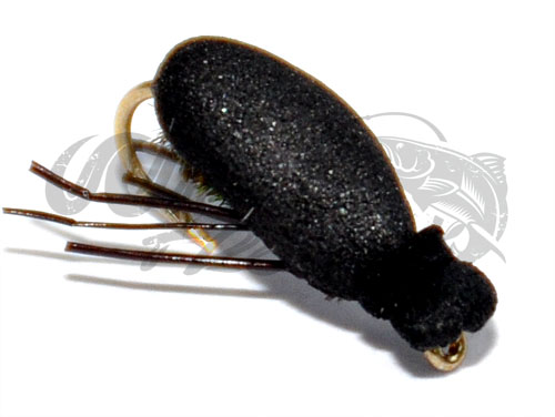 Foam Beetle Black