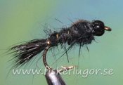 Tungsten Blackhead GRHE Nymph Black