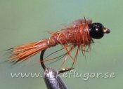 Tungsten Blackhead GRHE Nymph Brown