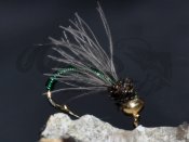 BH CDC Metallic Green Pupa