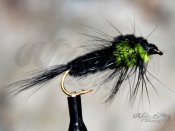 Montana Nymph Green WTD