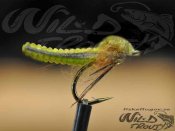 6-Pack Caddis Foam Pupa Dirty Chartreuse