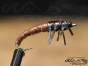 Caddis Larva Brown