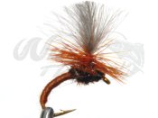 12-pack CDC Klinkhammer Brown