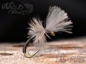 MS Wild Boar CDC Emerger