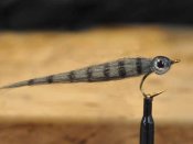 Mini CF Baitfish Grizzly Antracit