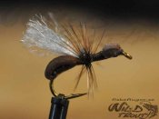 6-Pack Foam Flygmyra Polywing Brun