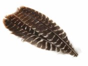 Turkey Wing Quill - Muddler