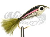 Epoxy Rainbow Minnow