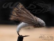 Streaking Caddis White