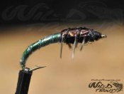 Caddis Larva Green