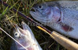 BH Woolly Bugger Yellow
