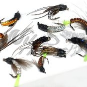 Caddis Pupa Collection