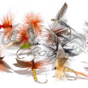 Dry Fly Collection