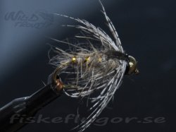 Soft Hackle BH GRHE Nymph Natural