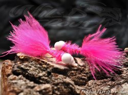 12-Pack Booby Nymph Pink