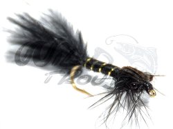 Damsel/Flickslnda Nymph Var 2 Black