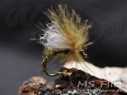 MS CDC SP Emerger Olive