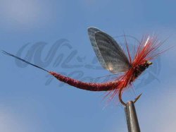 Mayfly Tubebody