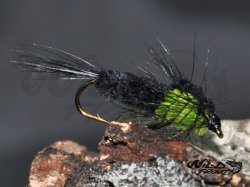 Montana Nymph Green WTD