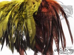 Strung Saddle Hackles