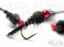 Tungsten Redhead GRHE Nymph Black