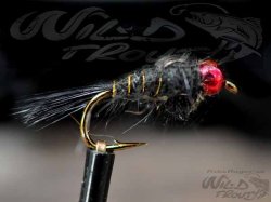 Tungsten Redhead GRHE Nymph Black