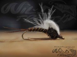 CDC Pheasent Tail Emerger LSC