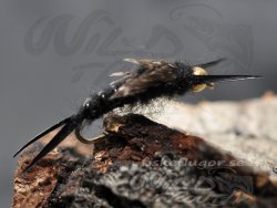 BH Stonefly Black