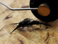 BH Stonefly Black