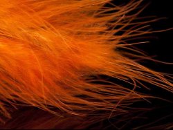 Blood Quill Marabou AJ
