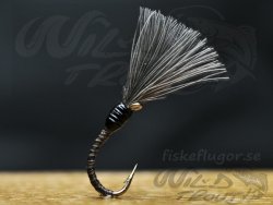 CDC Quill Buzzer Mygg Klckare Black