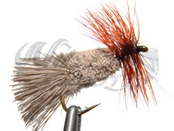 12-Pack Goddards Sedge Grey