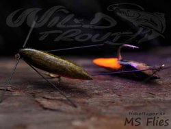 MS Ismopuppa Olivegrn UV Neon Orange