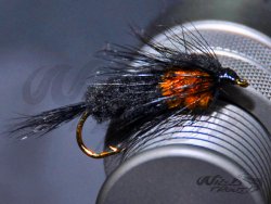 Montana Nymph Orange WTD