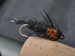 Montana Nymph Orange WTD