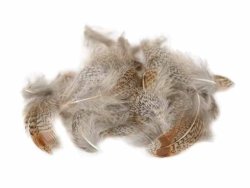 Partridge English Grey Neck Grey Hackle