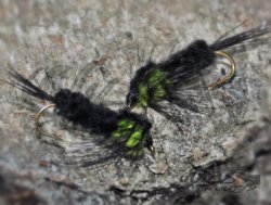 Montana Nymph Green WTD