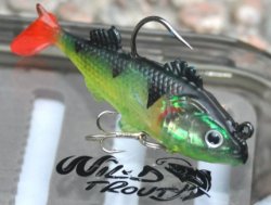 Softbait Abborren 10g