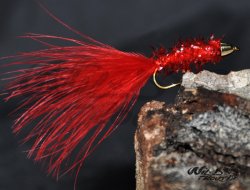 Conehead Delibugger Red