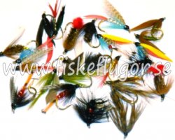 Wet Fly Collection