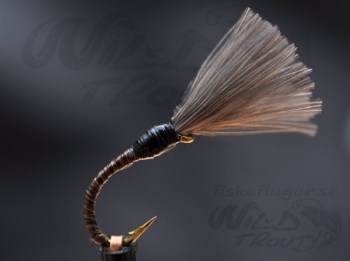 CDC Quill Buzzer Mygg Klckare Black