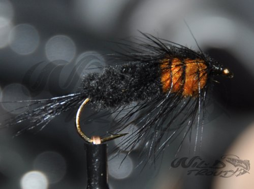 Montana Nymph Orange