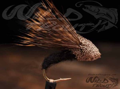 6-pack Streaking Caddis Black