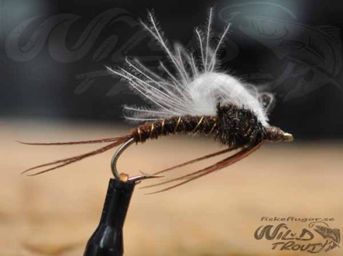 CDC Pheasent Tail Emerger LSC