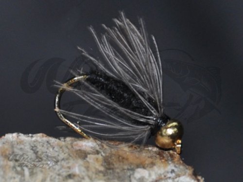 Tungsten Goldhead CDC Softhackle Nymph Black