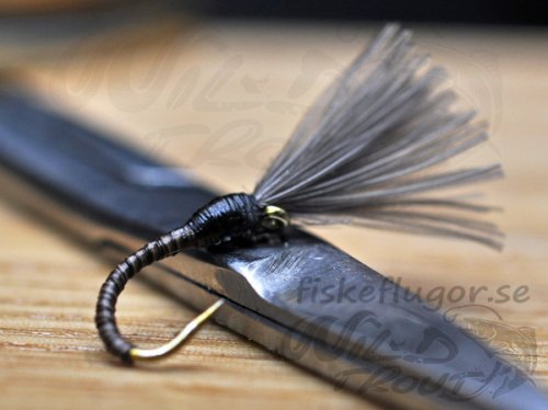 CDC Quill Buzzer Mygg Klckare Black